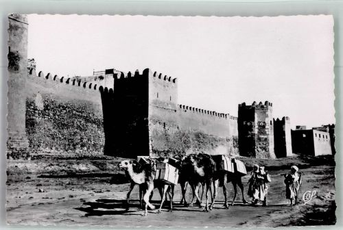 Sfax 1954 Foto AK Kamele Tracht Les Remparts