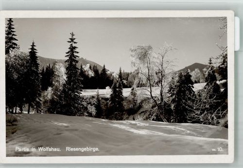 Wolfshau Wilcza Poreba Winter Riesengebirge
