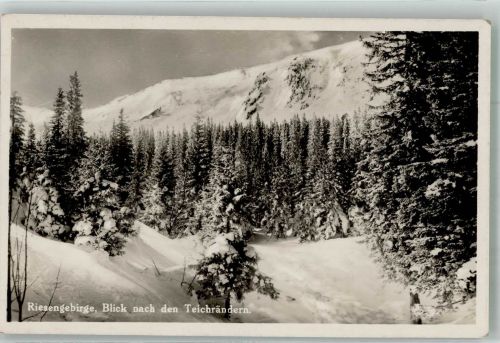Krummhübel Karpacz 1935 Winter Riesengebirge Teichränder Hüttenstempel Hampelbaude