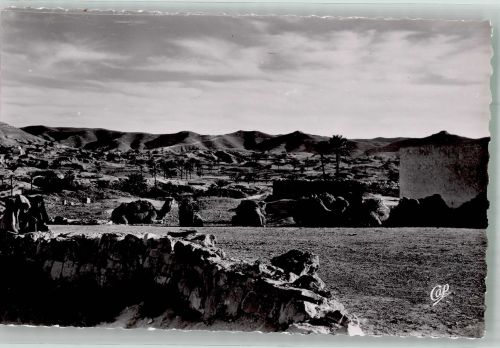 Matmata 1954 Foto AK Kamele
