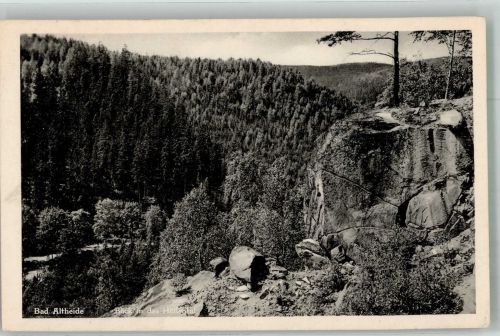 Bad Altheide Polanica Zdroj 1933 Foto AK Höllental
