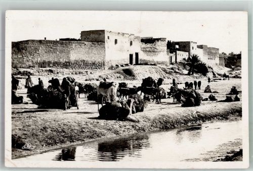 Gabès 1934 Foto AK Kamele Karavane