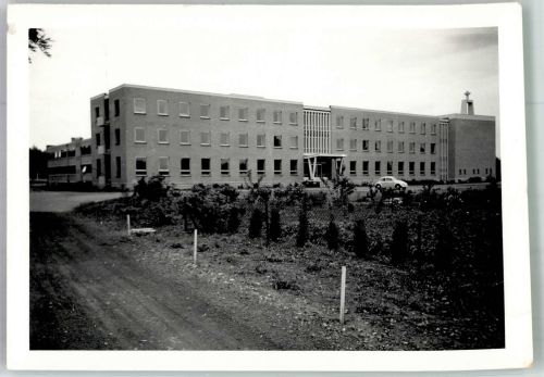 Loewen 1968 Foto AK VW Käfer