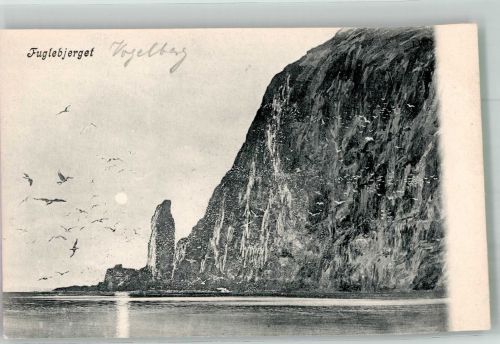 Oslo Kristiania Vogelberg Motiv Norwegen Foto AK