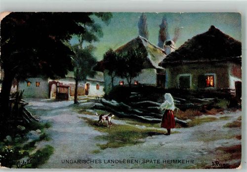 Budapest sing. Oilette Ungarisches Landleben Motiv Ungarn 1907 Lithographie / Künstlerkarte