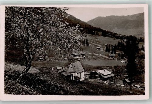 6236 Alpbach Foto AK Gasthaus Galtenberghaus Inneralpbach