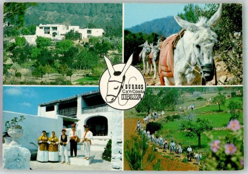 Ibiza Foto AK Esel Tracht Hotel