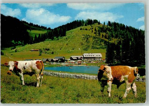 8163 Teichalm Foto AK Gasthaus Vorauer Seehüt´n
