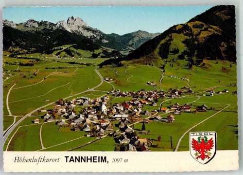 6675 Tannheim 1974 Foto AK Tirol Fliegeraufnahme
