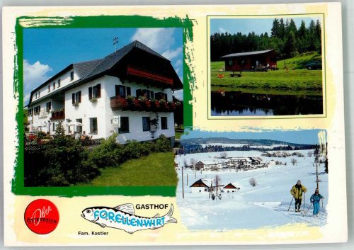 4264 Grünbach 1999 Winter Gasthaus Forellenwirt Aufkleber Priority
