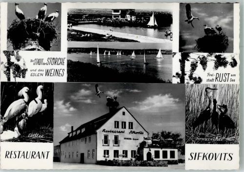 7071 Rust Foto AK Storchennest Gasthaus Sifkovits