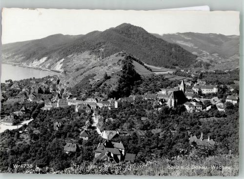 3620 Spitz Foto AK Wachau