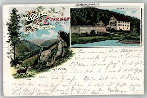 75323 W7547 Calmbach 1903 Lithographie Enzhof Klein Enztal Dorfstrasse Flöser