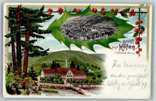 75339 W7545 Höfen an der Enz Lithographie Gasthaus zum Ochsen Vogelbeeren