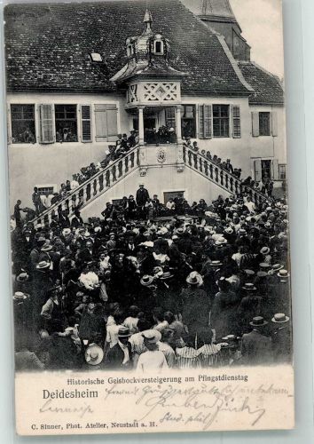 67146 W6705 Deidesheim 1910 Foto AK Histor. Geisbockversteiguerung