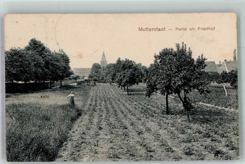 67112 W6704 Mutterstadt - Am Friedhof Obstbäume Feld