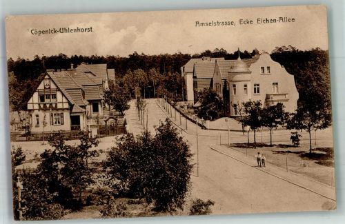 10115 O1199 Köpenick 1916 - Uhlenhorst Amselstrasse Ecke Eichen-Allee Villen