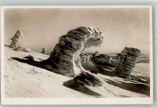 Gipfelfichten d. Rachels nach e. Schneesturm Naturereignis