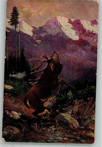 sign. Müller Moritz Sterbender Hirsch im Gebirge Verlag Rehn u. Linzen No. 335 Bergtier 1912 Künstlerkarte