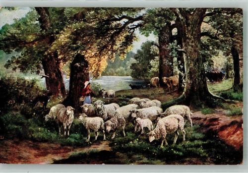 Schafe Kühe Hund Minerva 741-2 Hirte Künstlerkarte