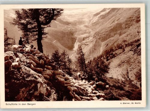 Schafhirte in den Bergen Hirte