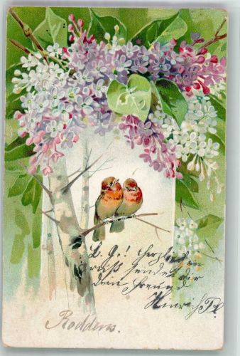 Zwei Vögel unter Fliederbusch Poesie Rotkehlchen 1906 Prägedruck