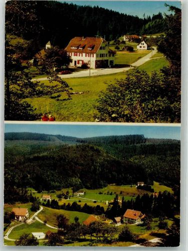 76571 W7560 Erbersbronn , Baden Foto AK Gasthaus Zum grünen Wald