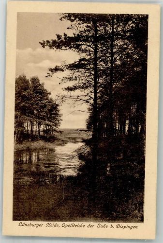 29646 W3045 Bispingen 1917 - Lüneburger Heide Quellteich Luhe