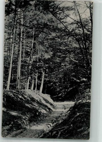 31582 W3070 Nienburg Weser 1918 - Oylerberg