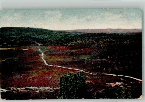 29646 W3045 Wilsede , Kr Soltau 1915 - Lüneburger Heide Totengrund