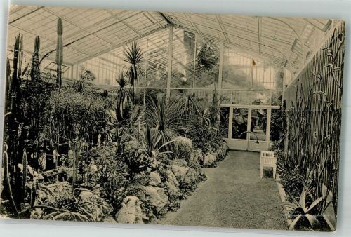 80331 W8000 Nymphenburg 1915 - Botanischer Garten Kakteenhaus