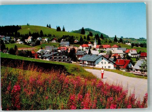 79868 W7828 Altglashütten , Schwarzw