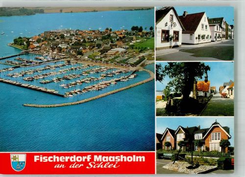 24376 W2341 Maasholm - Fliegeraufnahme
