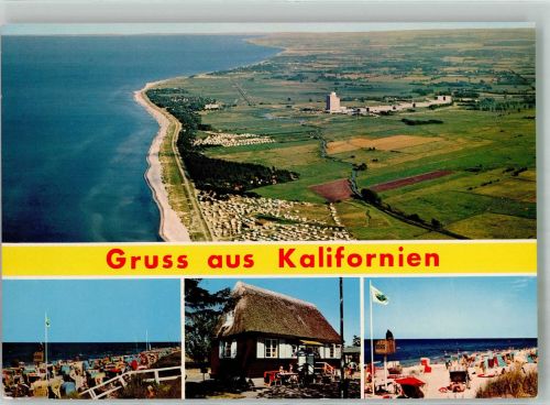 24217 W2306 Kalifornien , Holstein