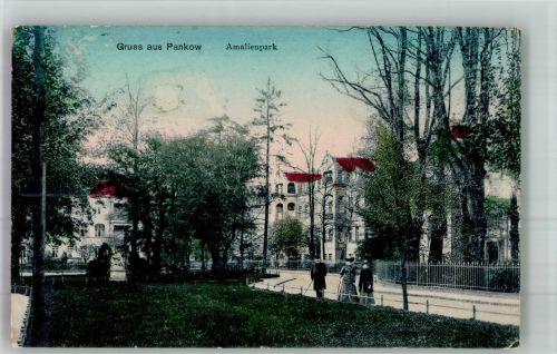 10115 O1100 Pankow 1911 Foto AK Amalienpark