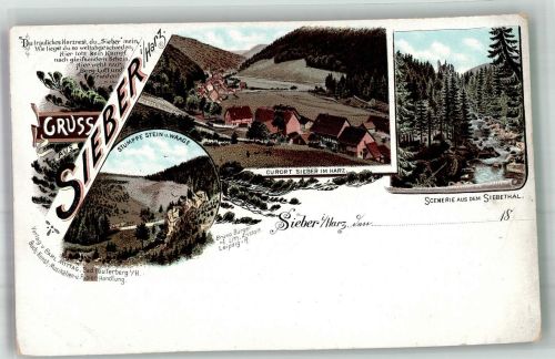 37412 W3429 Sieber Lithographie Harz