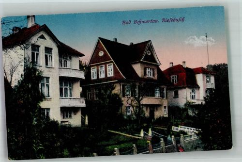 23611 W2407 Bad Schwartau 1917 Foto AK Riesebusch