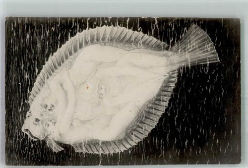 Erotik Akt Plattfisch Scholle Bromophot Roormägi Metamorphose