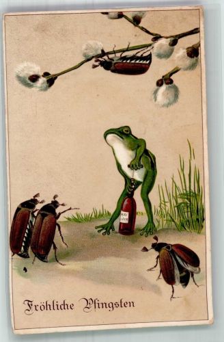 Frosch vermenschlicht Pfingsten Marienkäfer 1908 Prägedruck