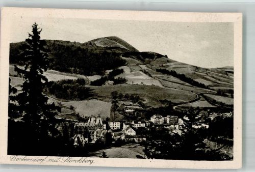 Görbersdorf i Schl Sokolomsko 1924 Foto AK Storchberg