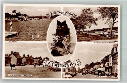 Lymington Foto AK Katze Schwimmbad Auto High Street Wainsford Road