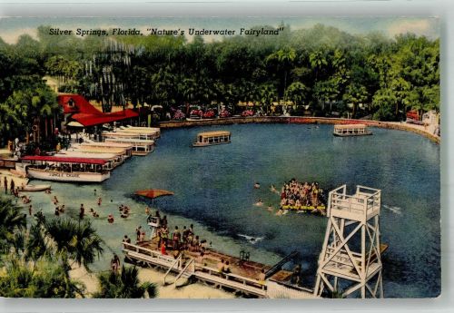 Silver Springs FL 1954 Foto AK Schwimmbad Hafen Fairyland