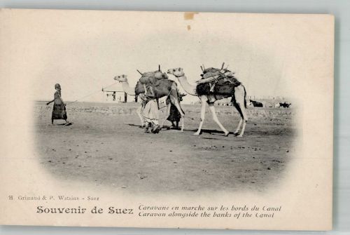 Suez Foto AK Karawane Kamel Tracht