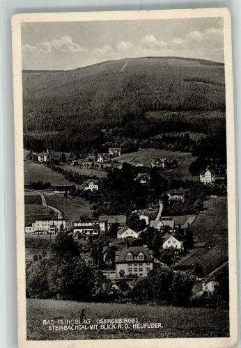 Bad Flinsberg Swieradow-Sdroj 1932 Foto AK Isergebirge Steinbachtal