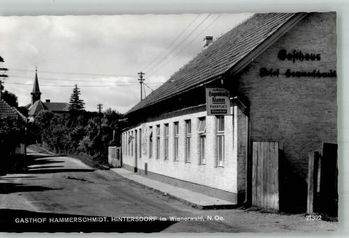 3413 Hintersdorf Foto AK Gasthaus Hammerschmidt
