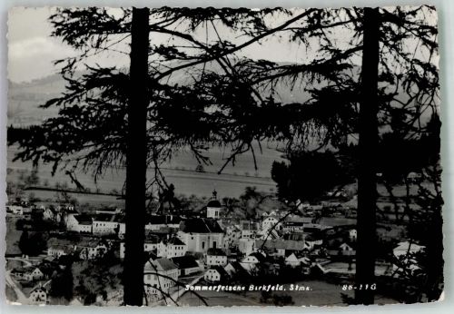 8190 Birkfeld 1971 Foto AK
