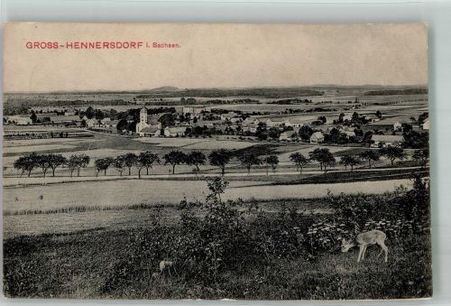 02747 O8701 Großhennersdorf 1910 - Reh