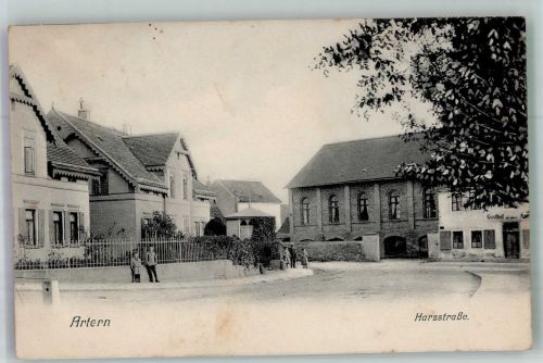 06556 O4730 Artern /Unstrut Foto AK Harzstrasse Gasthaus Artern Villen