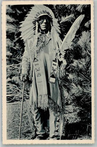 Amerika Le Chef Dakota Indianer