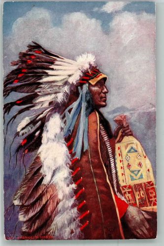 Chief Stranger Horse Indianer Künstlerkarte